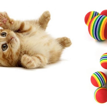 2 ADET GÖKKUŞAĞI RENKLI KEDI KÖPEK OYUN TOPU