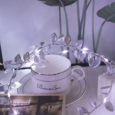 3 Metre Yaldızlı Gümüş LED Işık 