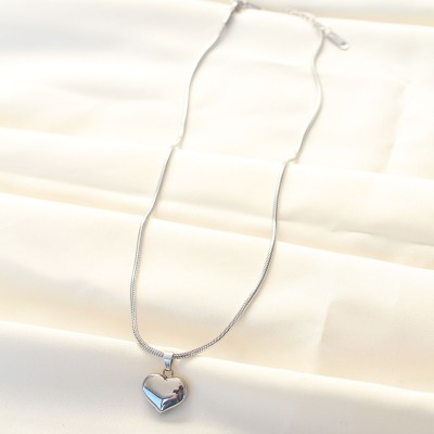 316L Çelik Gümüş Renk Kalp Kolye