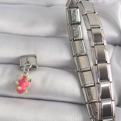 316L Çelik Gümüş Renk Sallantı Ejder Meyvesi Model Nomination Charm