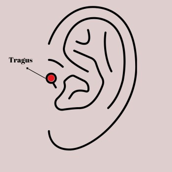 316L Çelik Gümüş Renk Zirkon Taşlı Güneş Tragus Piercing