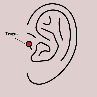 316L Çelik Gümüş Renk Zirkon Taşlı Yaprak Model Tragus Piercing