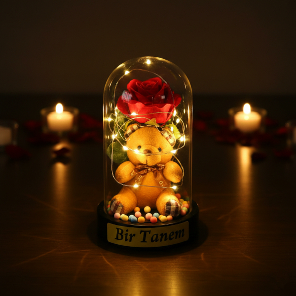 Ayıcıklı Ledli Gül Fanus 