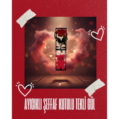 Ayıcıklı Şeffaf Kutulu Tekli Gül 