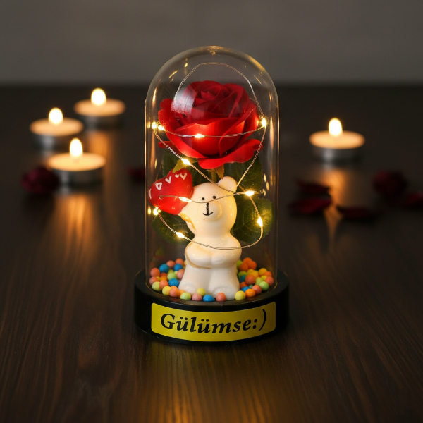 Balonlu Ayıcık Ledli Gül Fanus 