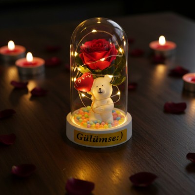 Balonlu Ayıcık Ledli Gül Fanus 