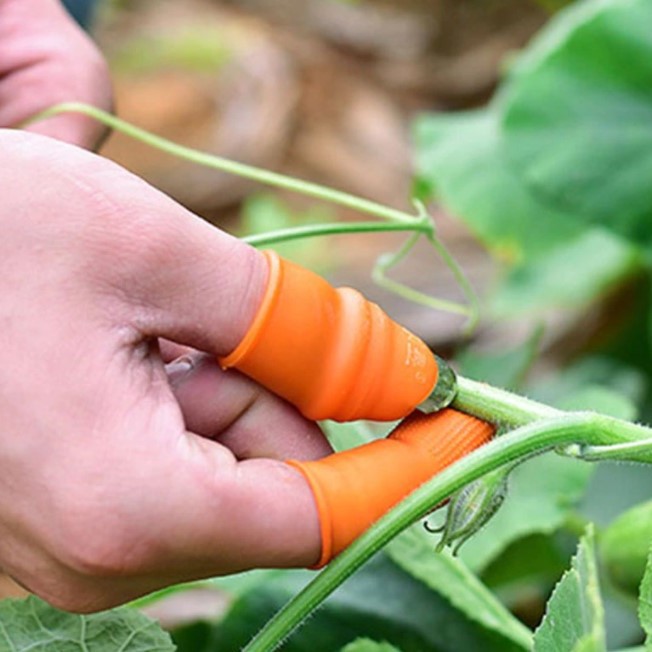 Baş Parmak Sebze Ayıklayıcı Set Kadın