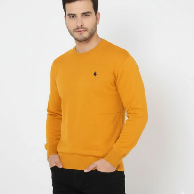 Bisiklet Yaka Nakış işlemeli Triko Kazak yumuşak dokulu Pamuklu ince Dokuma, uzun kollu Rahat Regular kalıp - Turuncu