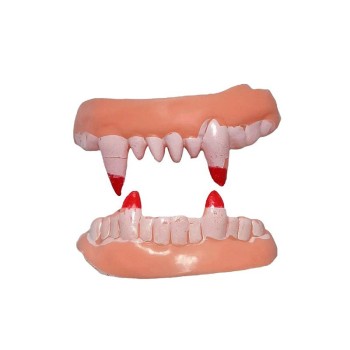 Çift Damak Yumuşak Vampir Dişleri 