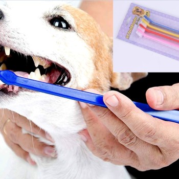 ÇIFT TARAFLI HAYVAN DIŞ FİRÇASI 4 LÜ SET