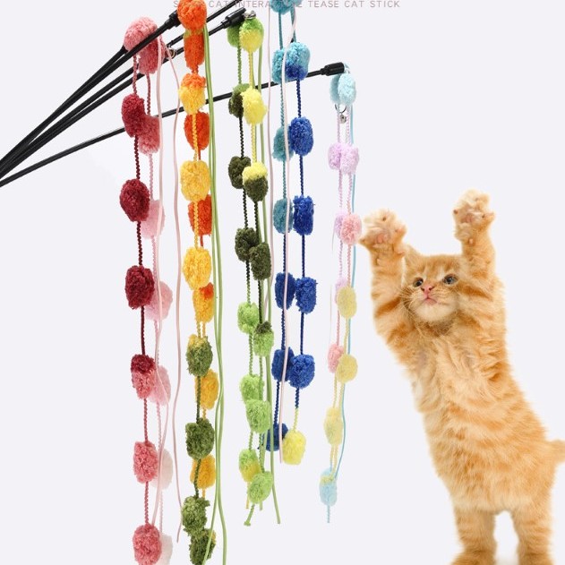 ÇINGIRAKLI KEDİ OYUN OLTASI