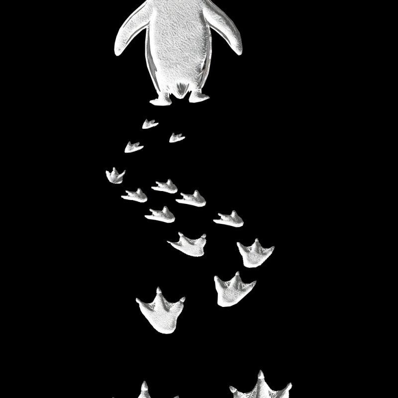 Erkek Nihilist Penguen Baskılı 3 İplik Pamuklu Kapüşonlu Sweatshirt Hoodie Siyah