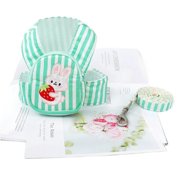 Evcil Hayvan Çantalı Göğüs Gezdirme Tasması Seti 