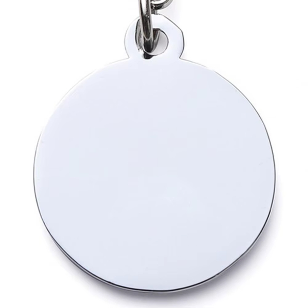 Evcil Hayvan Klipsli Tasma Künyesi