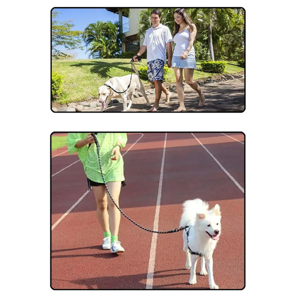 Evcil Hayvan Reflektörlü Fitil Gezdirme Tasması 12 mm x 120 cm