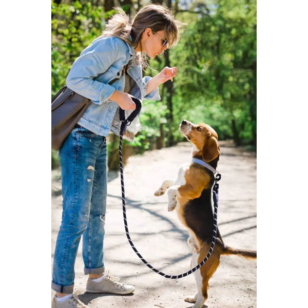 Evcil Hayvan Reflektörlü Fitil Gezdirme Tasması 8 mm x 120 cm 