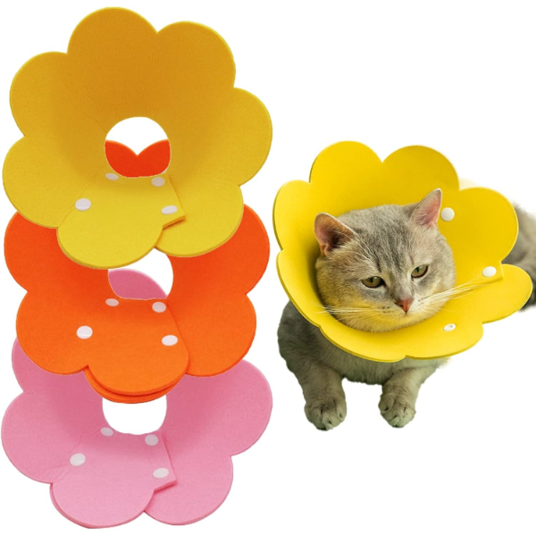 Evcil Hayvan S Boy Keçe Elizabeth Yakalığı 