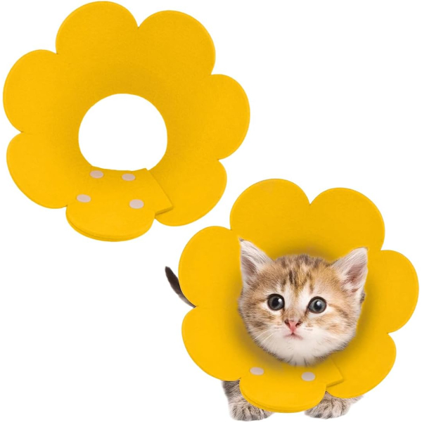 Evcil Hayvan S Boy Keçe Elizabeth Yakalığı 