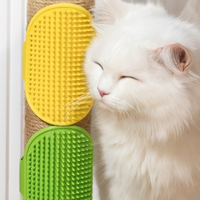 Evcil Hayvan Silikon Tüy Toplama Yıkama Fırçası