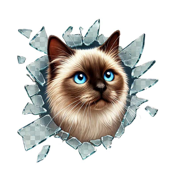 Fulcar Kedi Tasarımlı Araç Stickerı