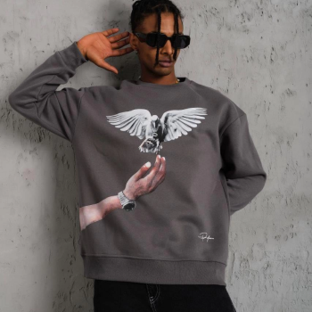 Güvercin Baskılı Sweatshirt - Gri