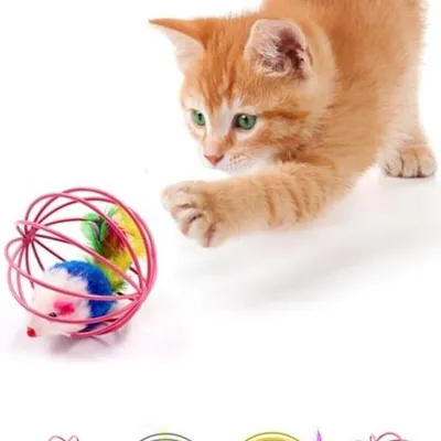 Hareketli Kedi Oyuncağı