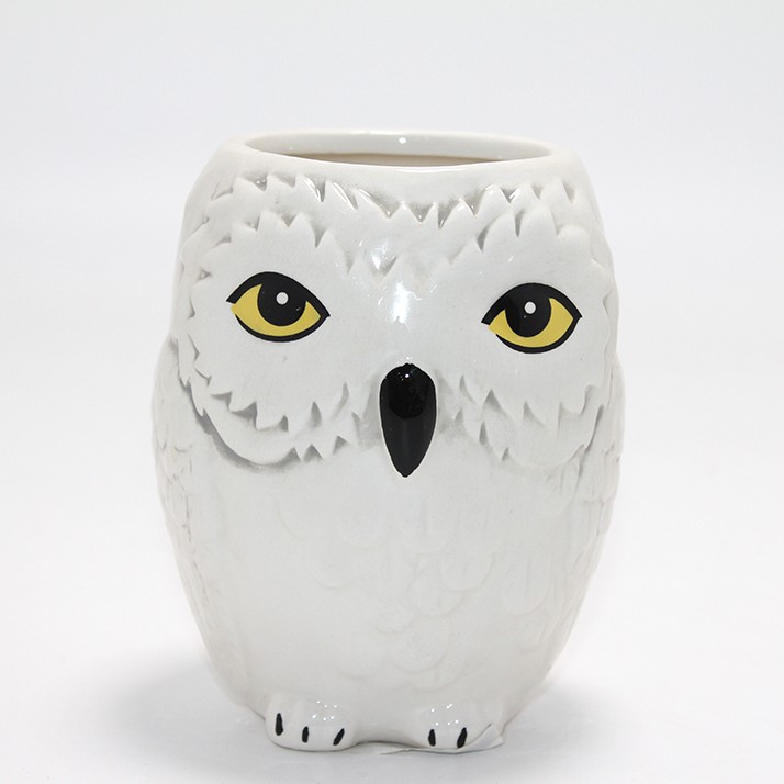 Harry Potter Hedwig Tasarım Porselen Kupa Bardak