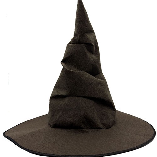 Harry Potter Seçmen Şapkası Çocuk Boy