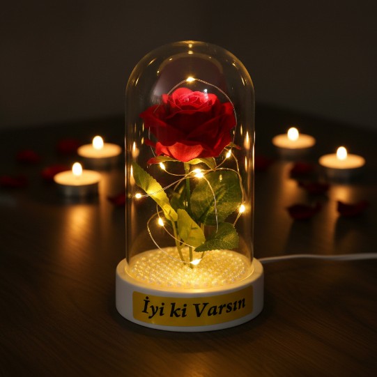 İncili Ledli Gül Fanus 