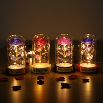 İncili Sonsuzluk Gülü Ledli Fanus 