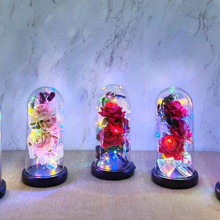 Işıklı Müzikli Cam Fanus İçinde Romantik Gül  