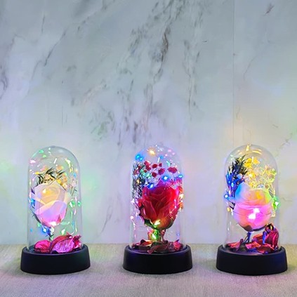 Işıklı Müzikli Romantik Büyük Gül  