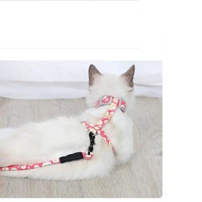 Kedi Gezdirme Göğüs Tasması 