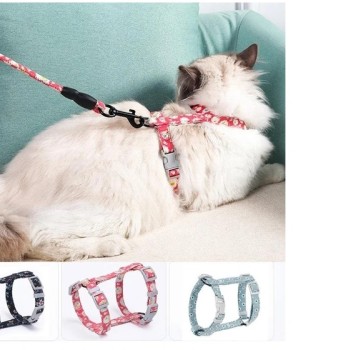 Kedi Gezdirme Göğüs Tasması 