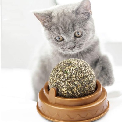 Kedi Nanesi Oyun Topu