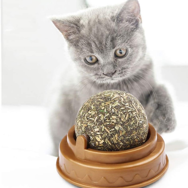 Kedi Nanesi Oyun Topu