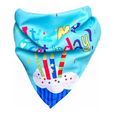 Köpekler İçin Doğum Günü Partisi Seti 