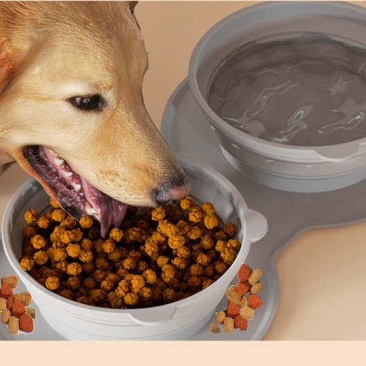 Mikopet Katlanabilir İkili Mama ve Su Kabı