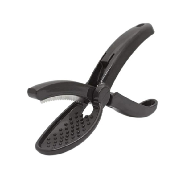 Plastik Kestane Çizeceği 