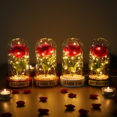 Renkli Toplu Ledli Gül Fanus 