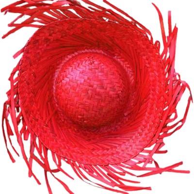 Tropikal Parti Kırmızı Hasır Hawaii Şapkası 