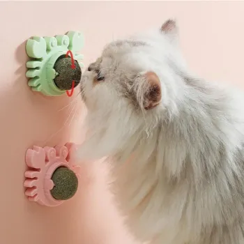 Yengeç Kedi Otu Oyun Topu